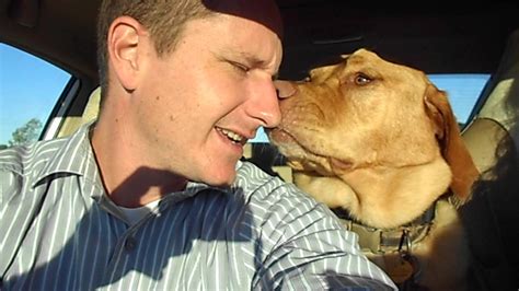 Your dog may lick your ears as a way to show that they respect you as a valued and high-ranking member of their family unit. . Dog licking inside human mouth